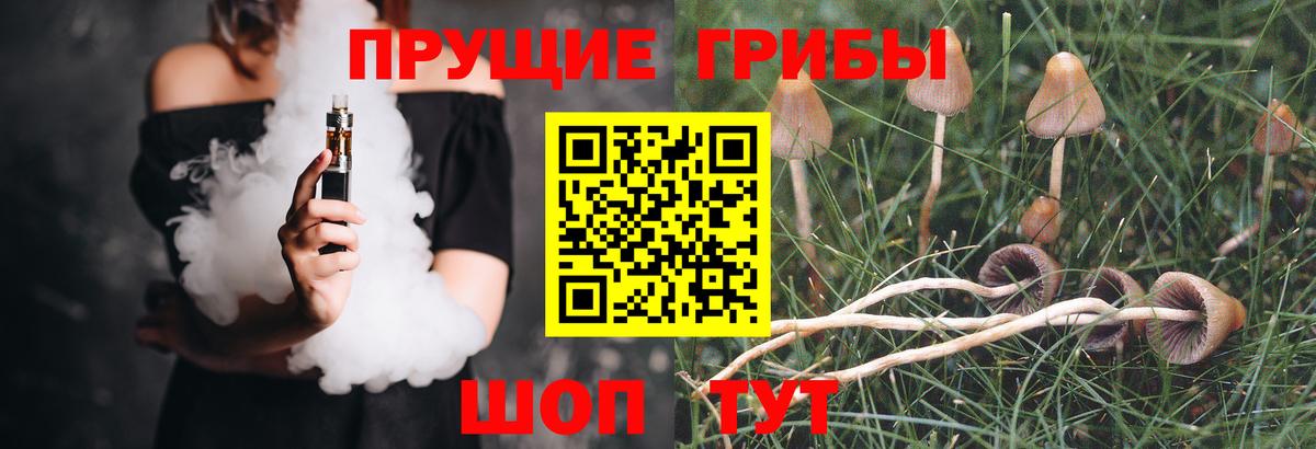 Псилоцибиновые грибы MAGIC MUSHROOMS Рязань